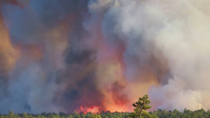 Pinelands Fire That Threatened NJ Homes Is Contained